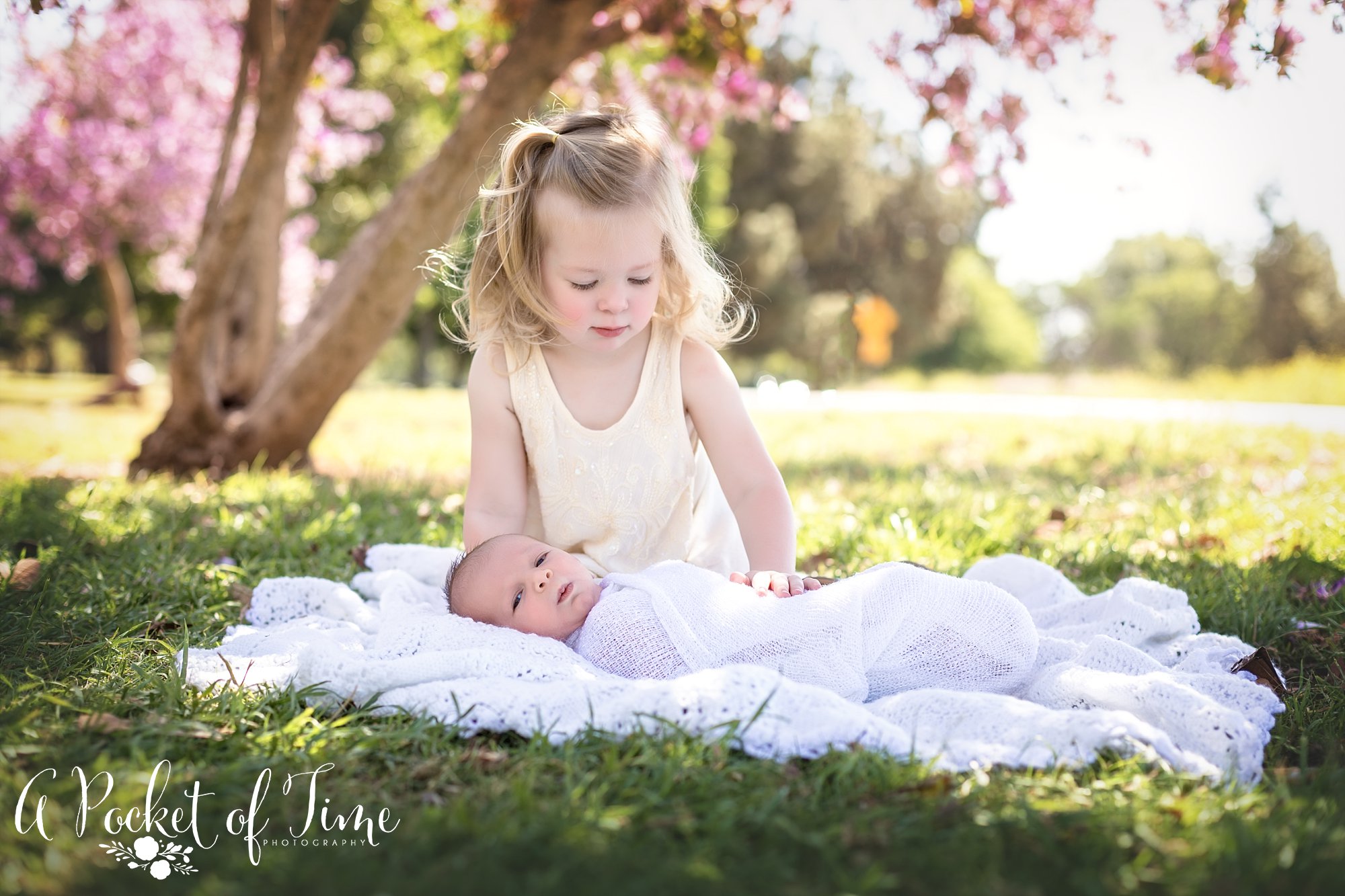 Outdoornewbornphotography_0864.jpg A Pocket of Time Photography