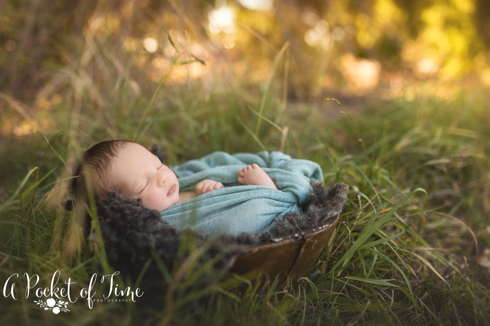 San Fernando Valley Outdoor Newborn Photographer Baby L A Pocket of Time Photography