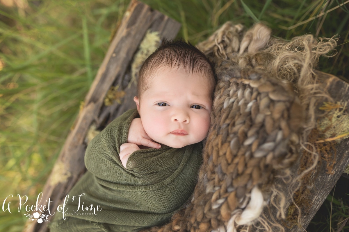 San Fernando Valley Outdoor Newborn Photographer Baby L A Pocket of