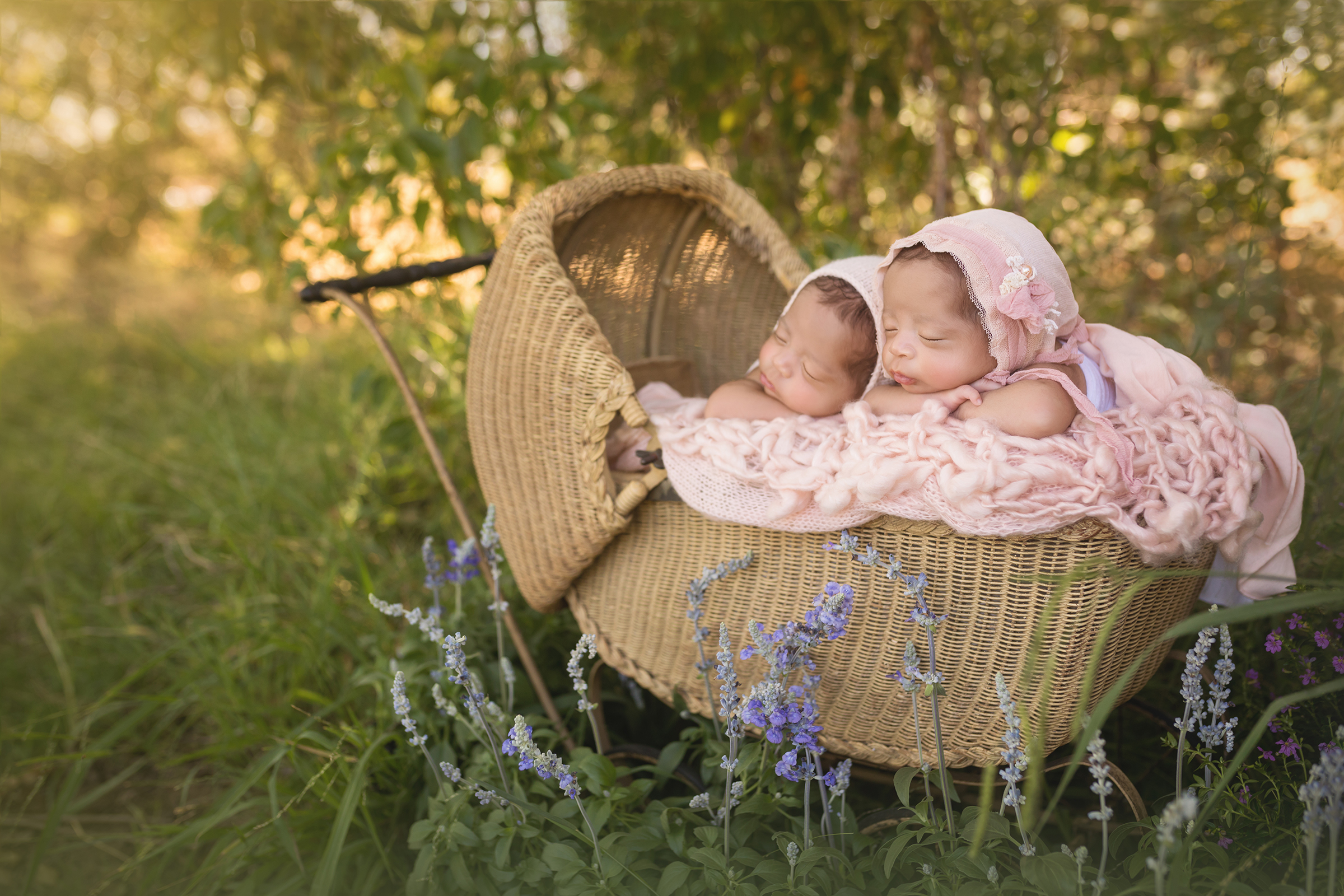 Newborn baby girls twins photographed in a vintage carriage by San Fernando Valley newborn photographer A Pocket of Time Photography