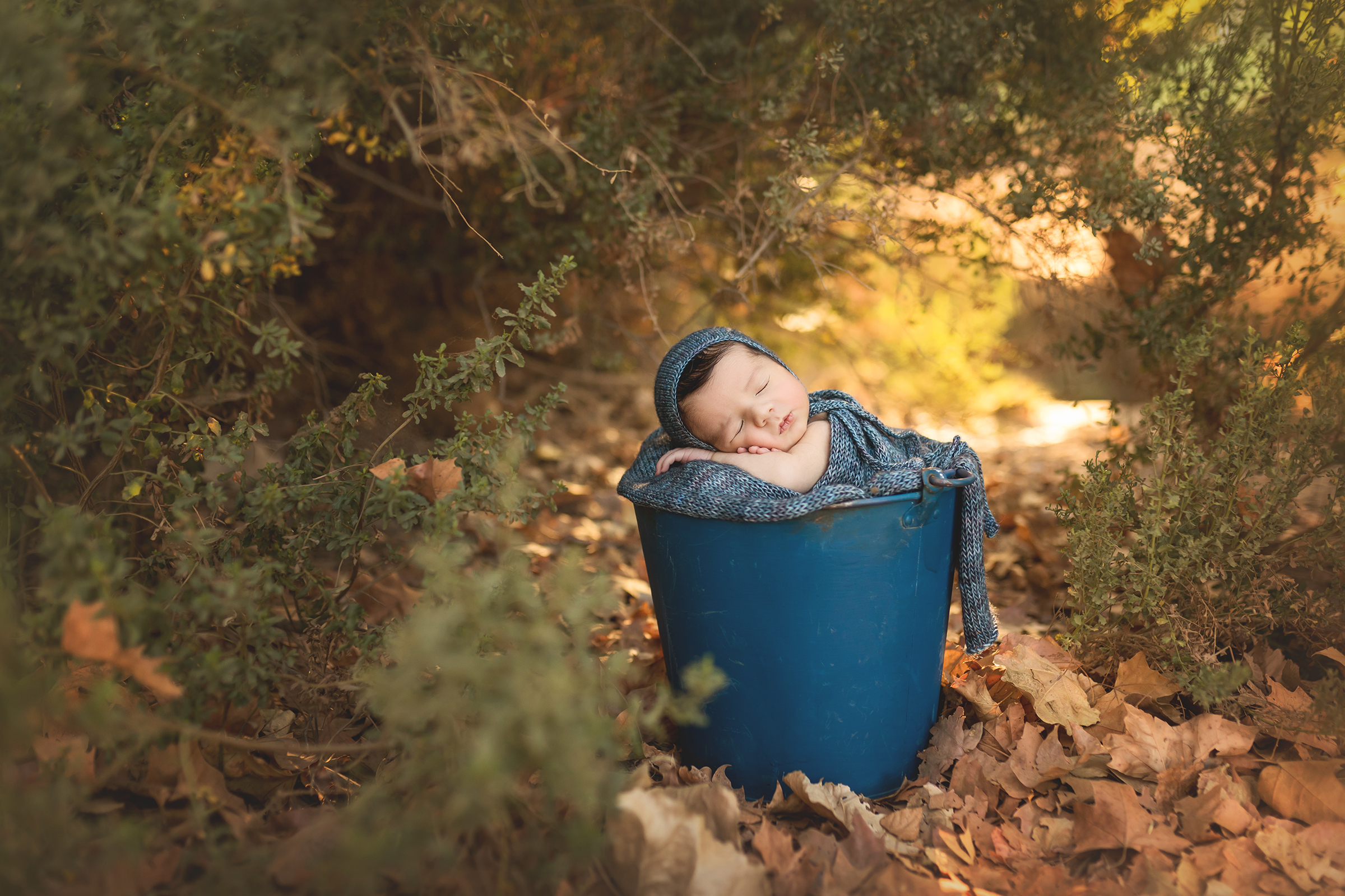 newborn baby boy posed outdoors in a bucket by Sherman Oaks newborn photographer A Pocket of Time Photography