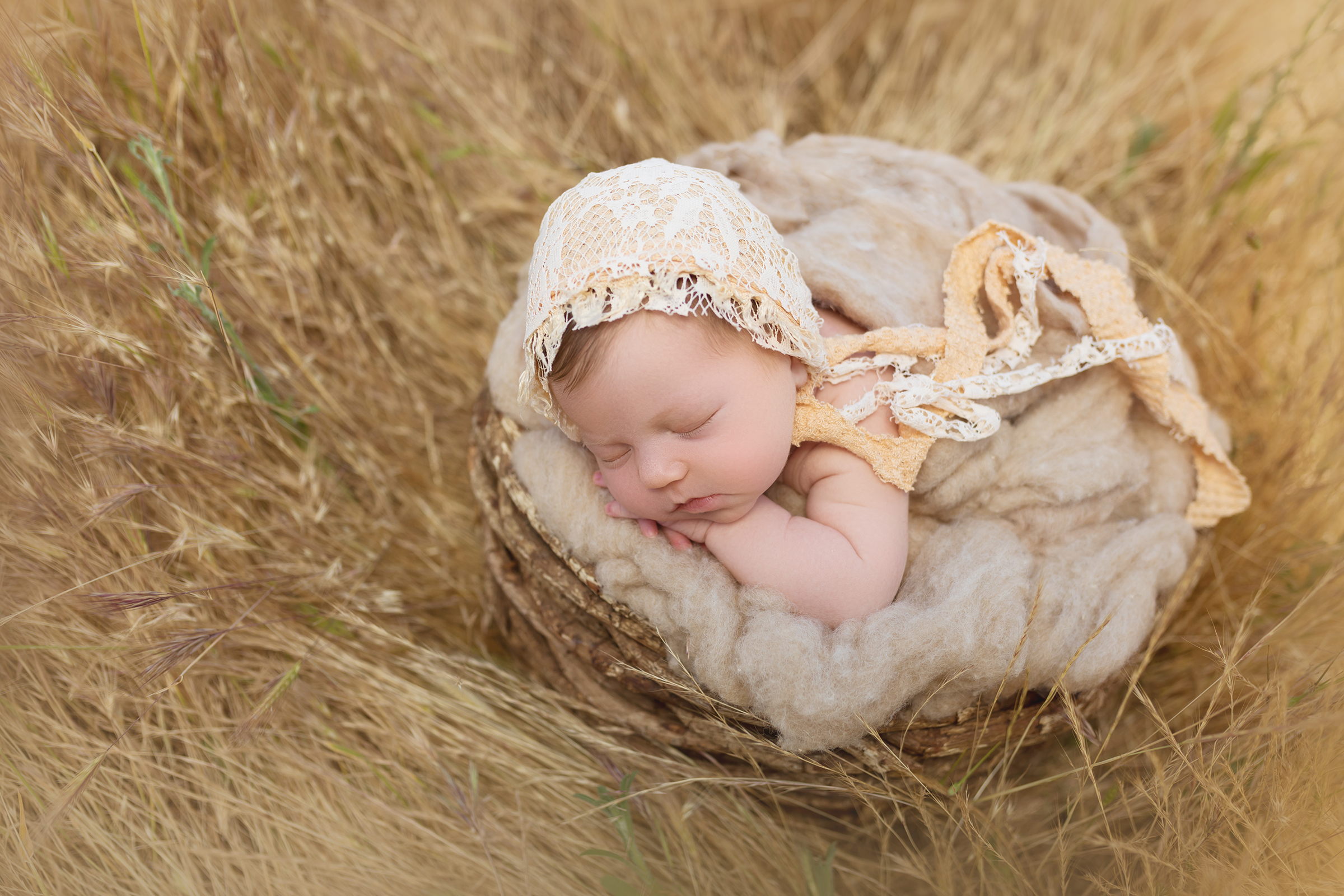 Newborn baby boy posed in a bucket outdoors by Sherman Oaks newborn photographer A Pocket of Time Photography