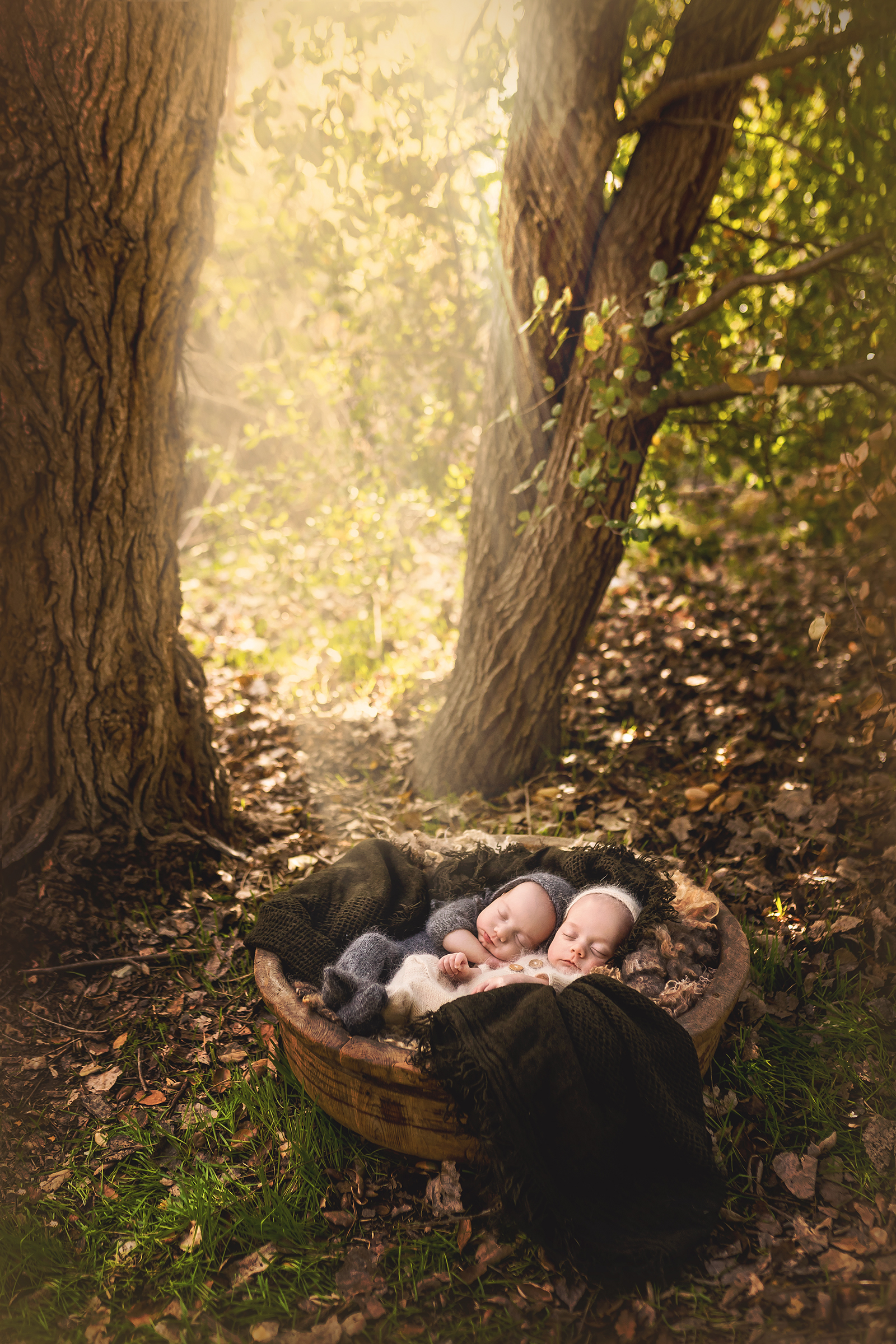 Newborn baby boy twins laying in a bowl outdoors photographed by Los Angeles newborn photographer A Pocket of Time Photography