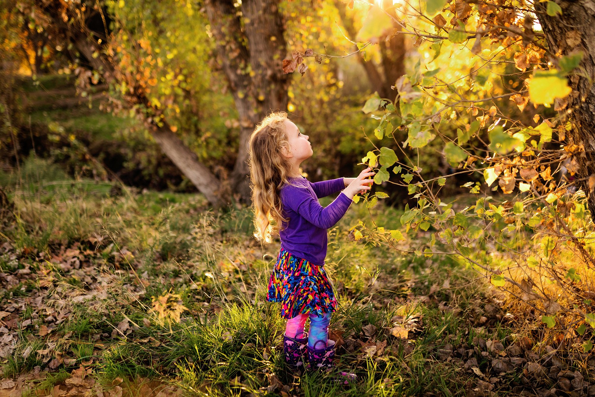A little girl wearing purple playing i8n the trees at sunset by Los Angeles children's photographer A Pocket of Time Photography