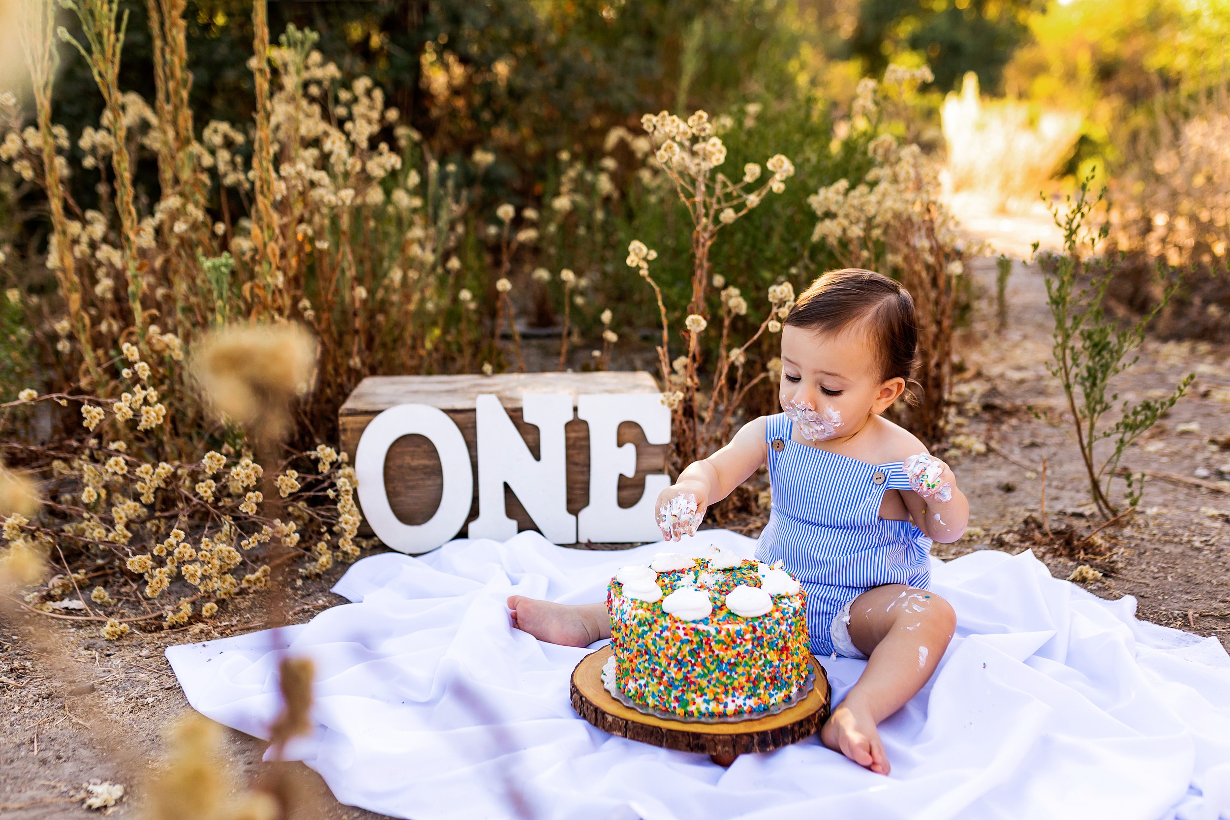 Little boy enjoying his outdoor cake smash at sunset by Los Angeles cake smash photographer A Pocket of Time photography