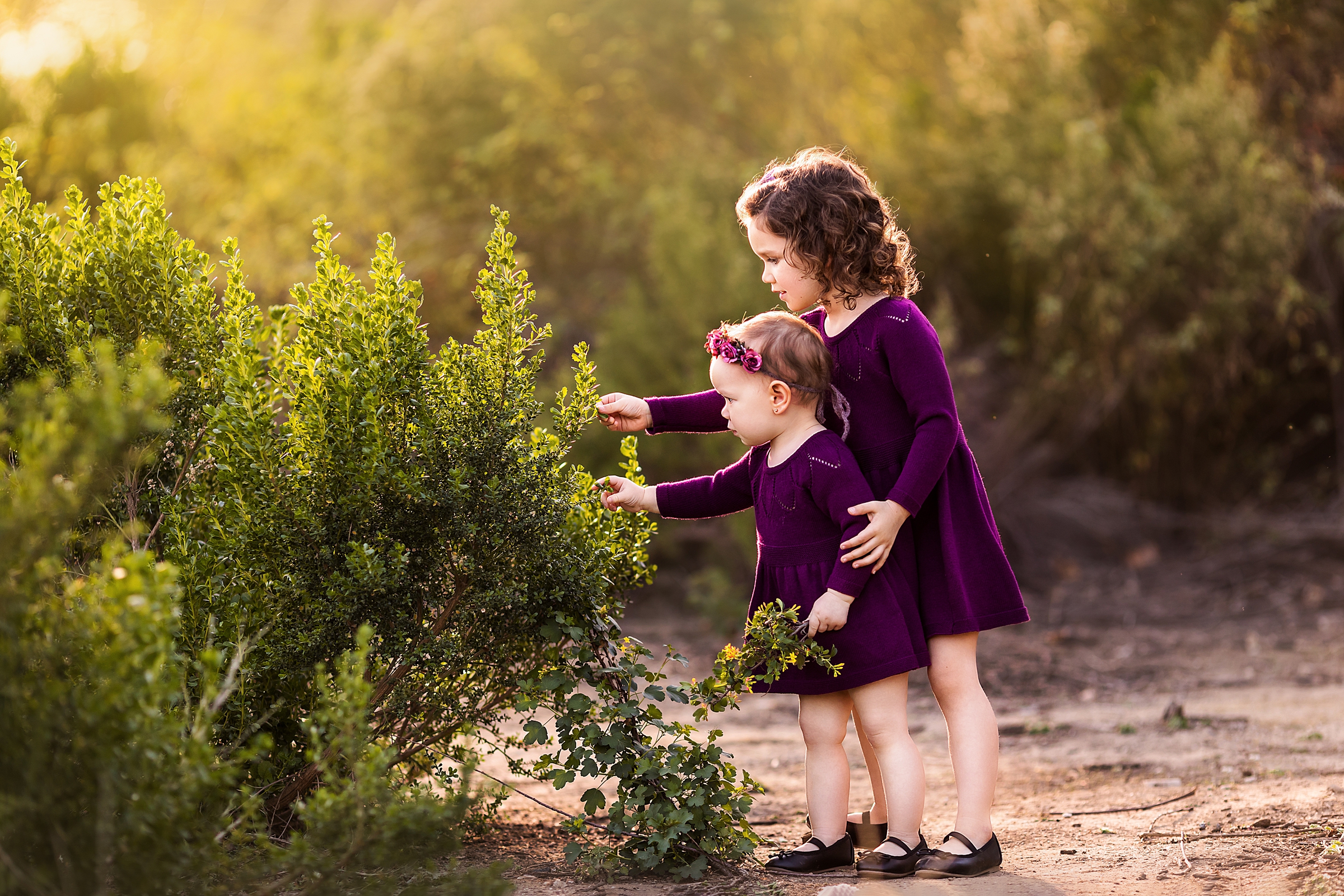 two young sisters wearing purple dresses picking flowers at sunset by Sherman Oaks children's photographer A Pocket of Time Photography