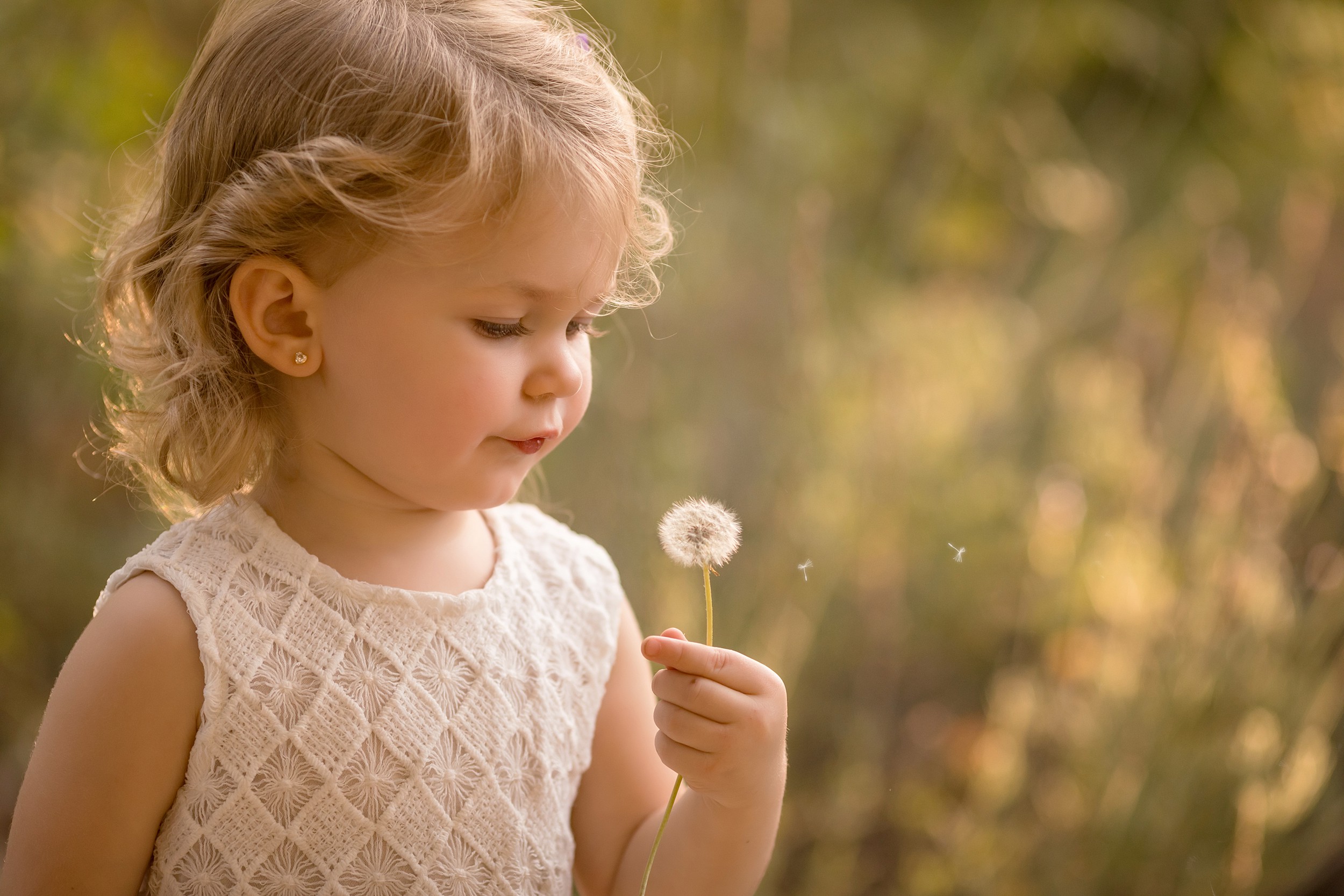 Little girl blowing a dandelion by Los Angeles child photographer A Pocket of Time Photography