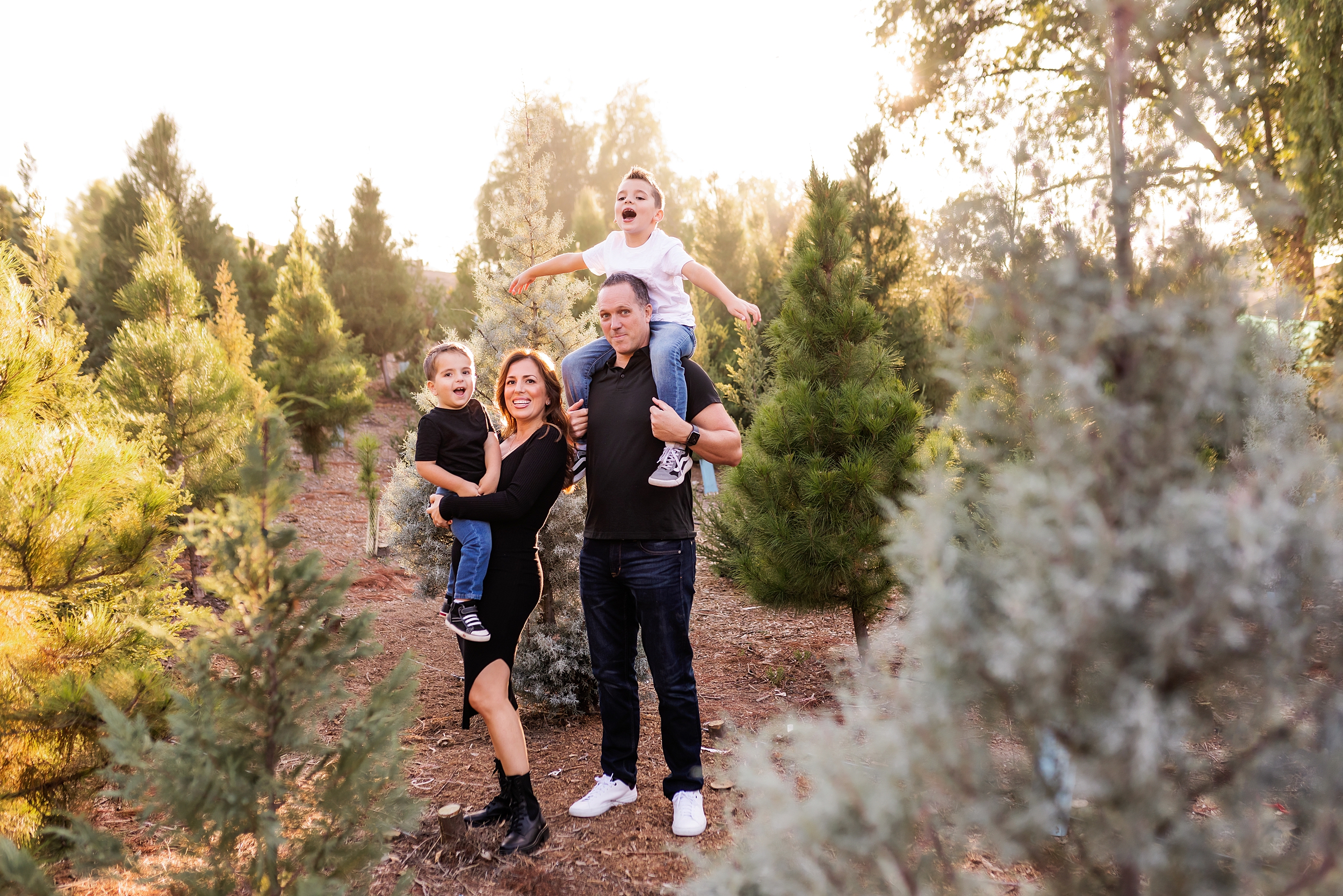 Thousand Oaks family photographed outdoors at a Christmas Tree farm at sunset by family photographer A Pocket of Time Photography 