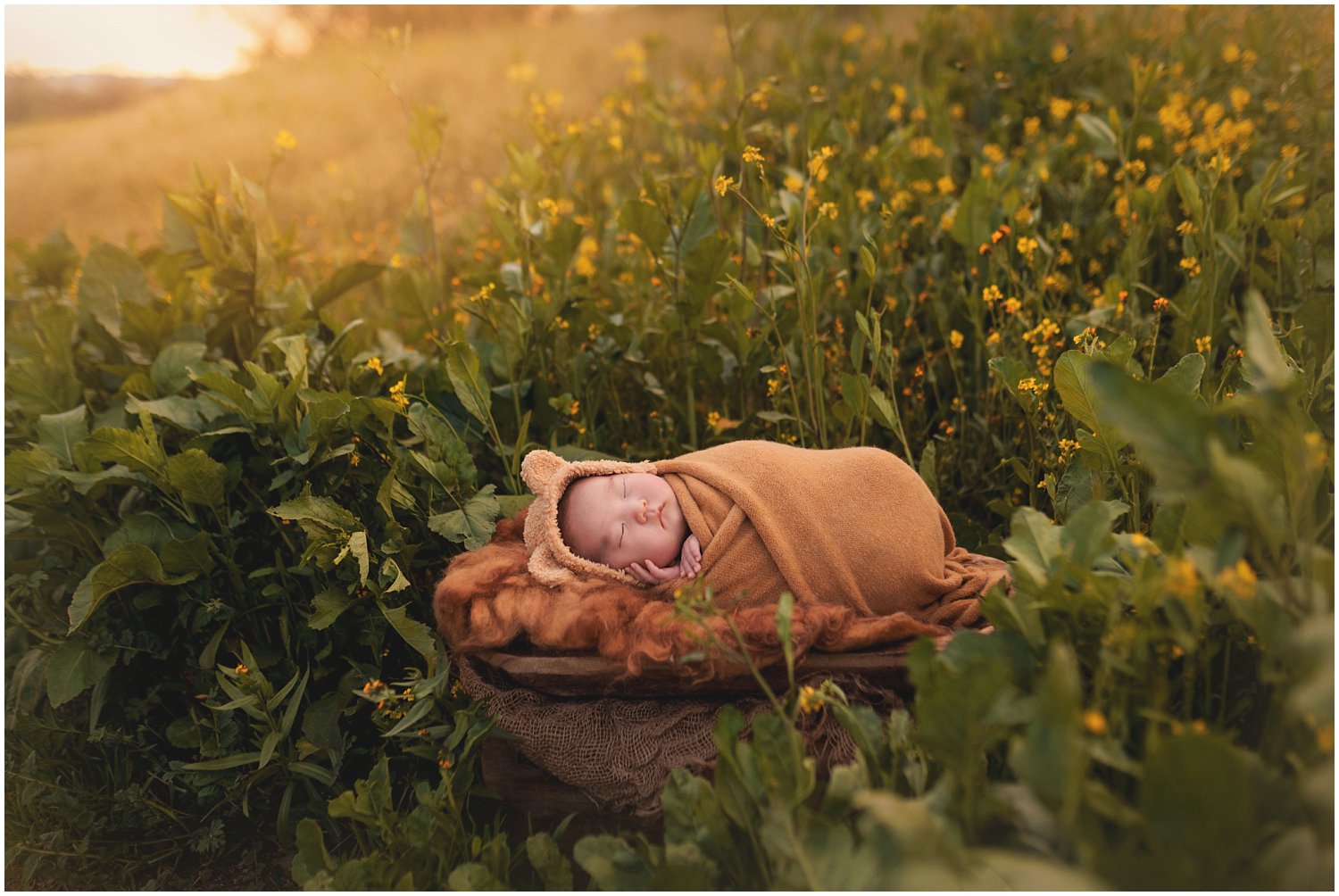 6 week baby boy sleeping outdoors by A pocket of Time Photography