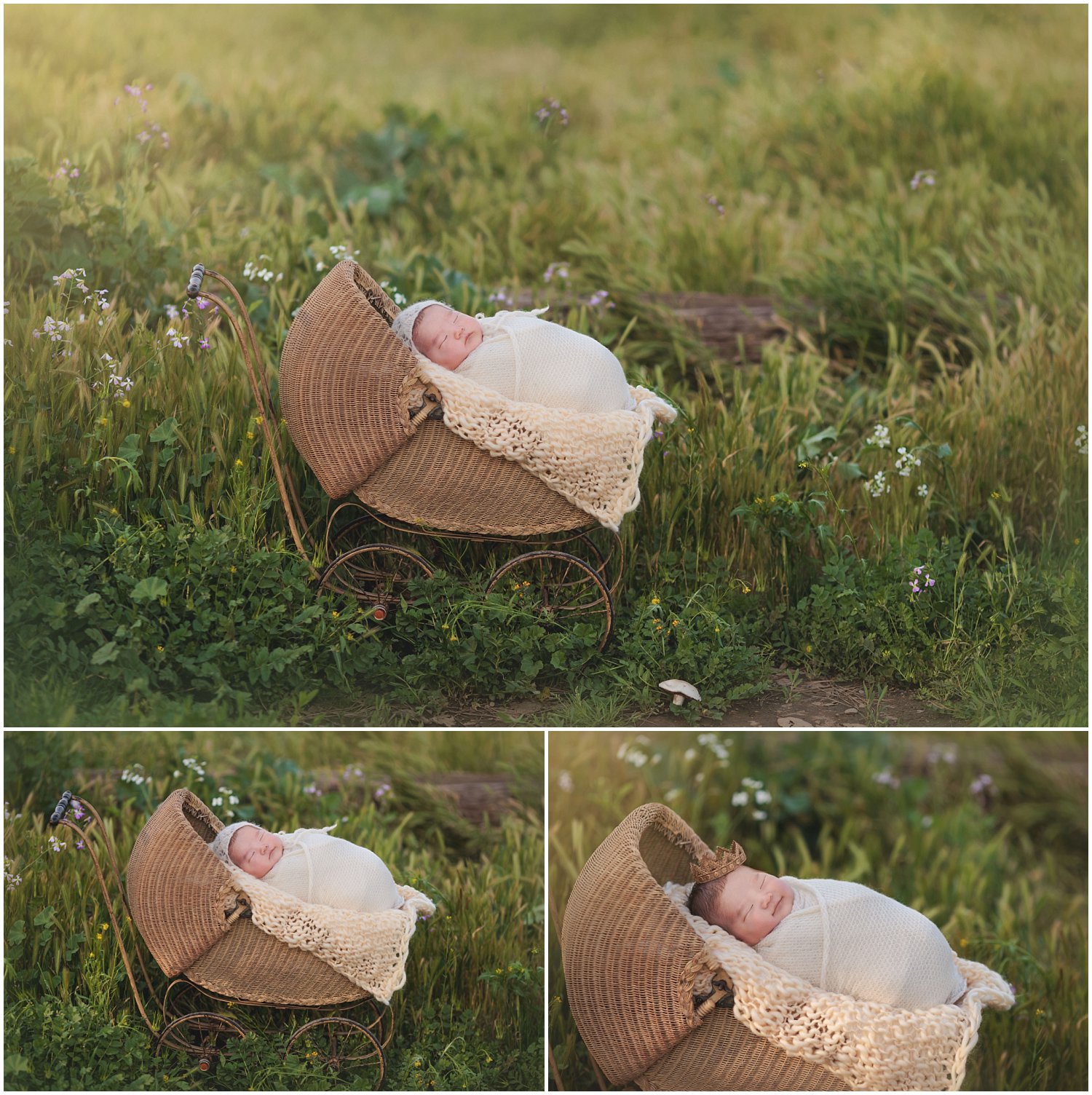 6 week baby boy sleeping outdoors by A pocket of Time Photography